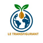 Global Delivery & Operations – Orange Business